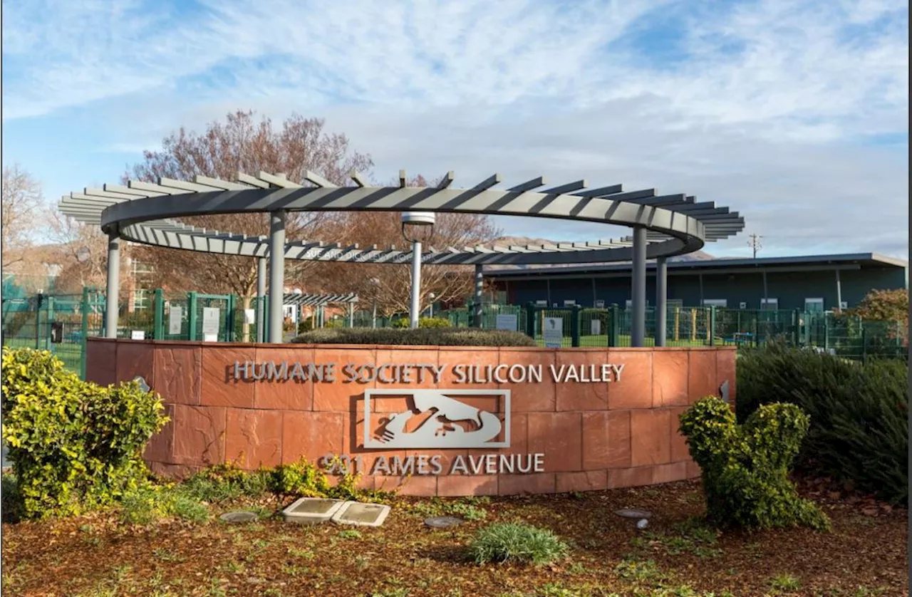 Fire closes Human Society Silicon Valley in Milpitas