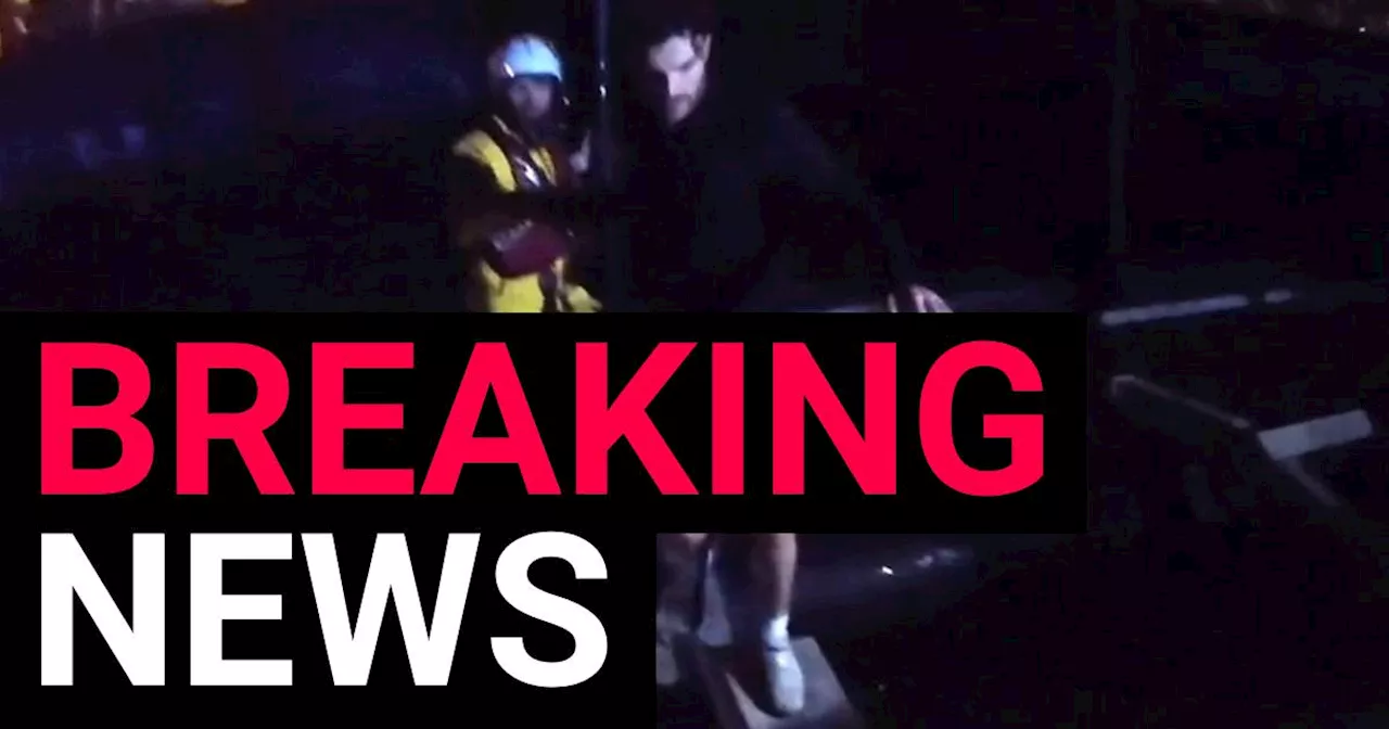 Radio Presenter Jordan North Rescued After Saving Dog from River Thames