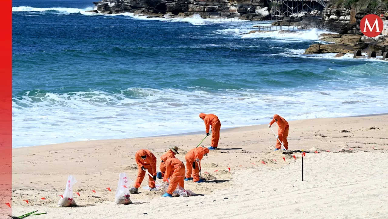 ¿Cuáles son las playas más contaminadas de México? Esto dice la Cofepris