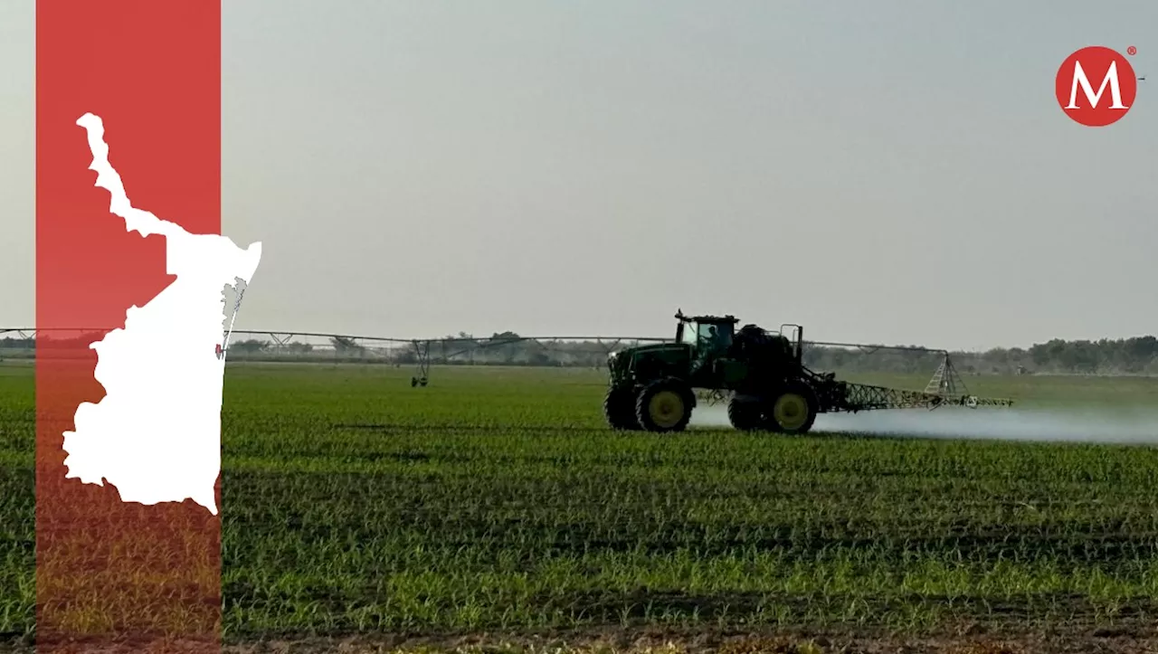 Inseguridad y Clima Afectan la Economía de Tamaulipas