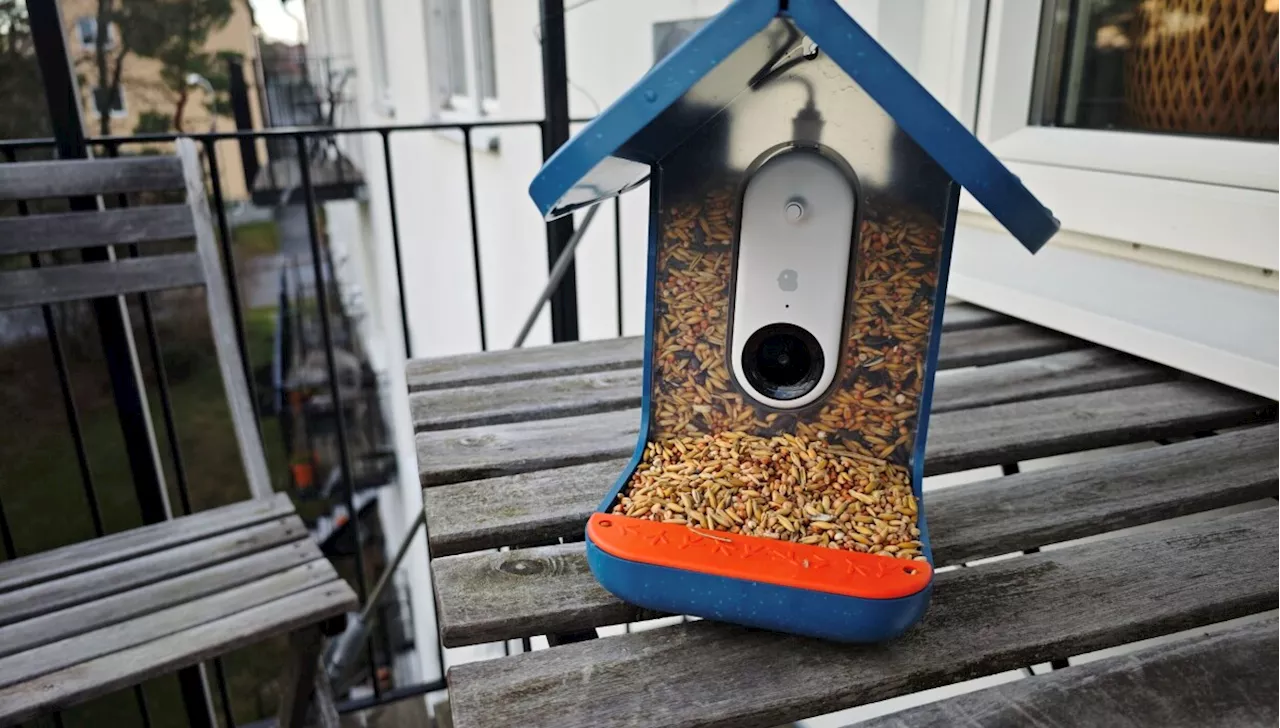 Fåglar i fokus med Bird Buddy