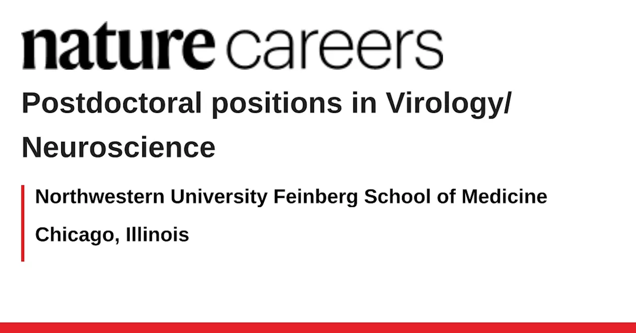 Postdoctoral positions in Virology/Neuroscience - Chicago, Illinois job with Northwestern University Feinberg School of Medicine