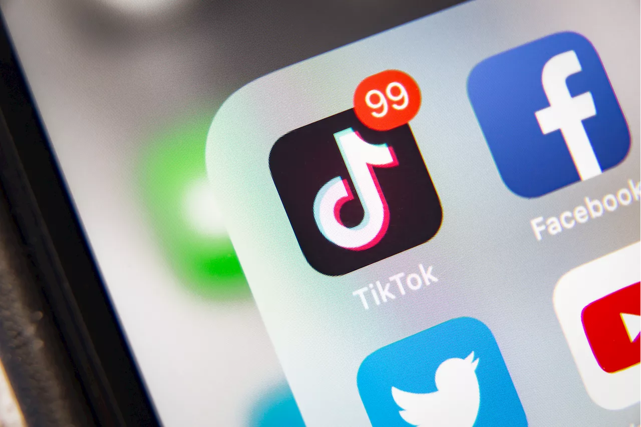 TikTok Ban Appeal Lost, Congressman Accused of Insider Trading