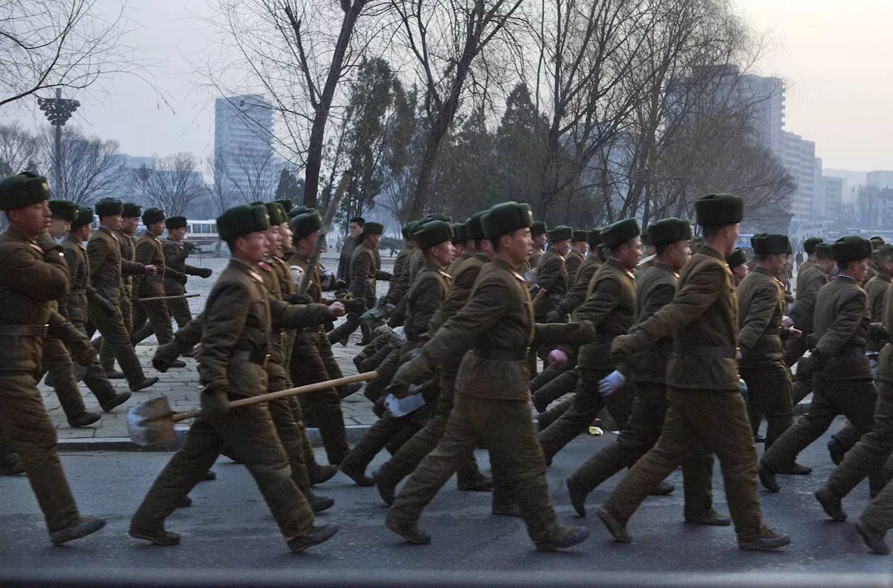 Zelensky Alleges Russian Troops Burn Faces of Dead North Korean Soldiers