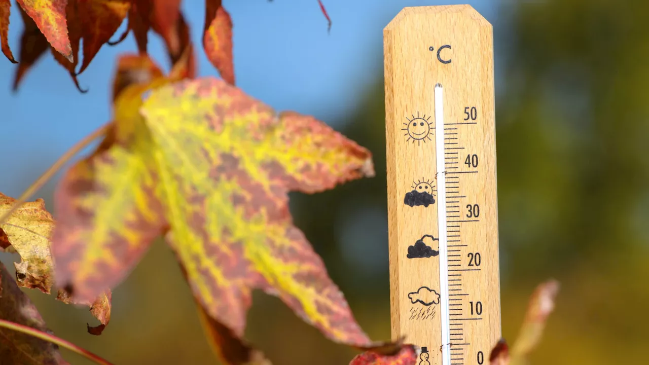 Rekord-Temperaturen in Österreich im Dezember