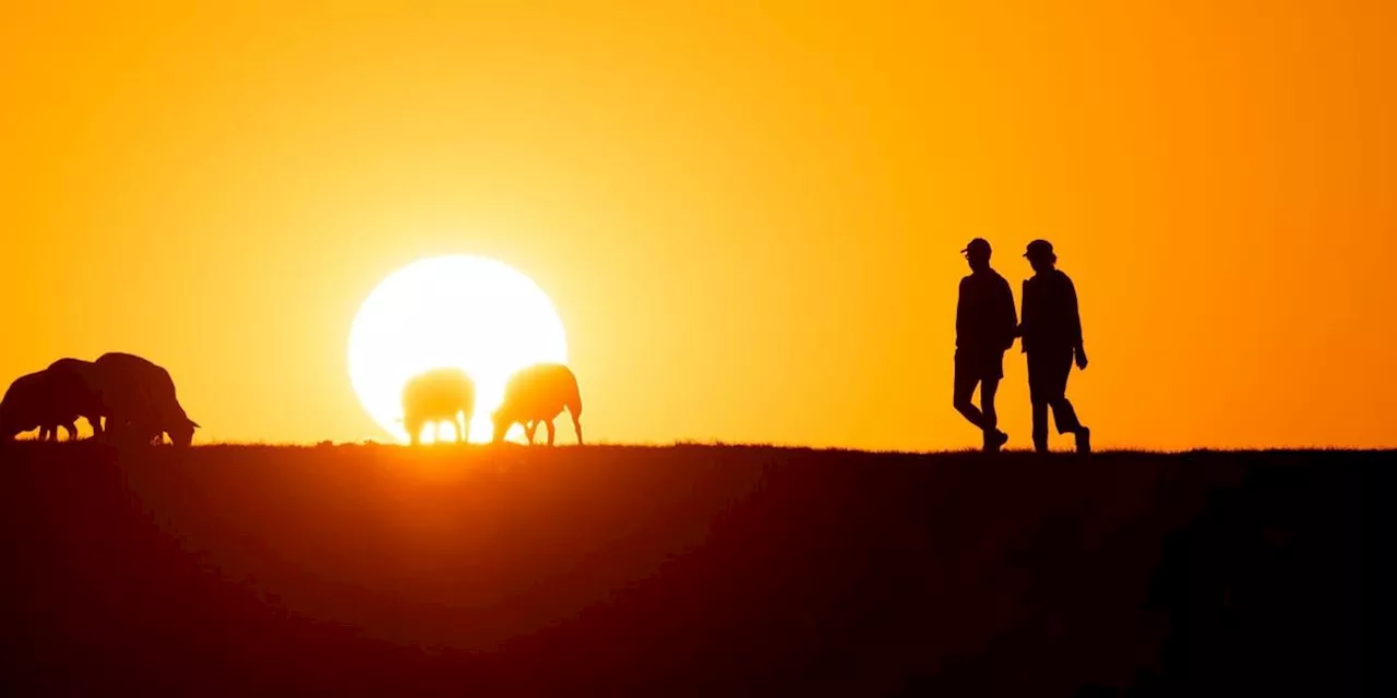 Deutschland erlebt Rekordtemperatur 2024