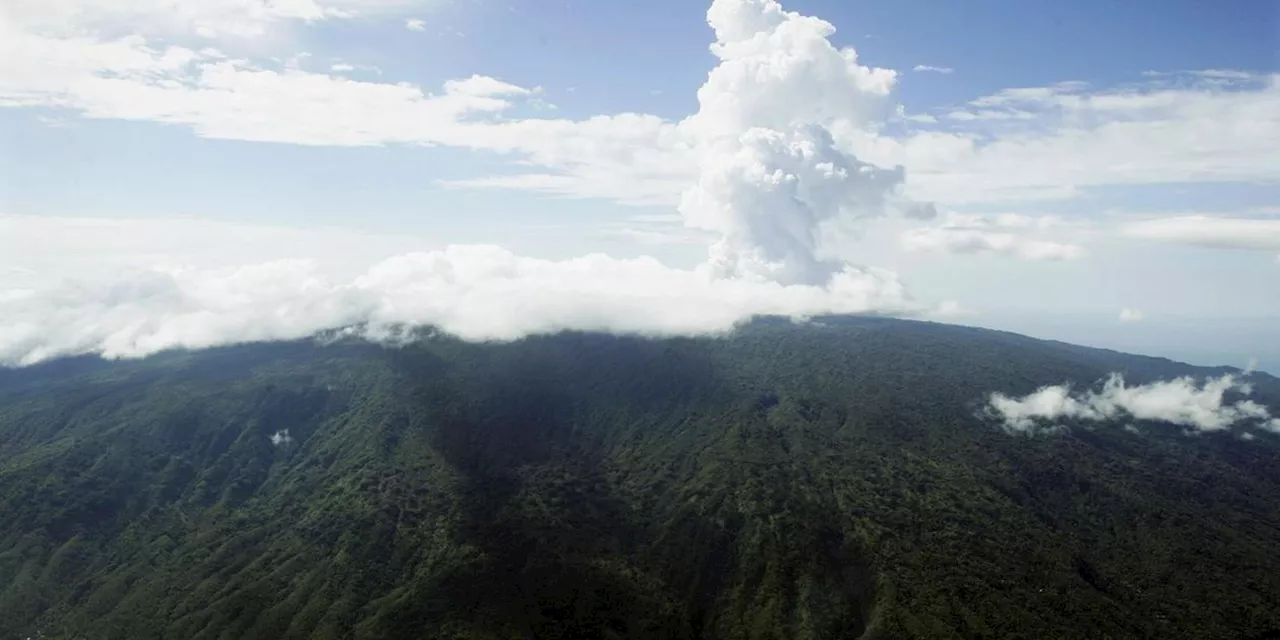 Stärkest Erdbeben in Vanuatu: Schäden und Tsunami-Warnung