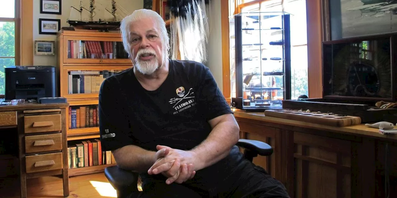 Walfanggegner Paul Watson wird nicht an Japan ausgeliefert