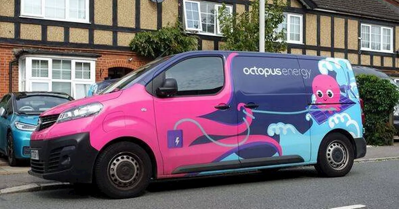 Octopus Energy to Slash Bills by Up to £676 With Removal of Daily Standing Charge