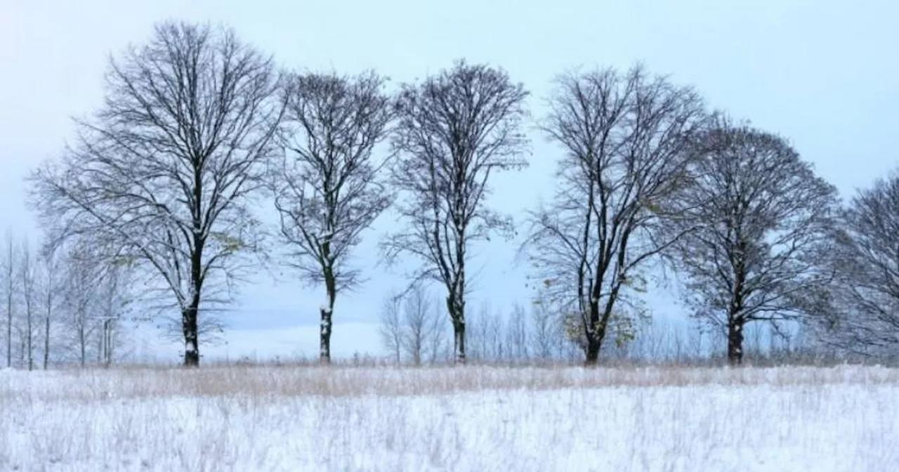 UK Braces for 30-Hour Non-Stop Snow as Temperatures Plummet