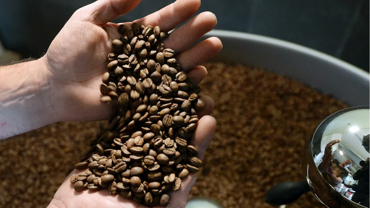 Coffee Prices Soar as Droughts Hit Top Growers