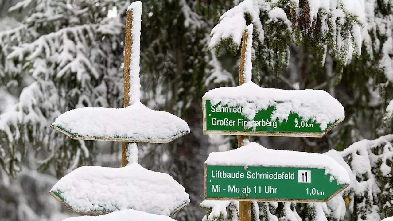 Thüringen: Vor Feiertagen: Noch Unterkünfte im Thüringer Wald verfügbar