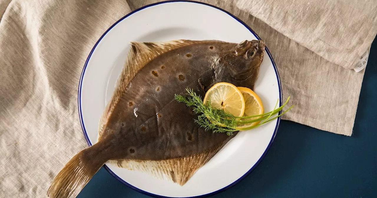 Nachhaltiger Fischkauf: Guter-Fisch-Liste kürzer als im Vorjahr