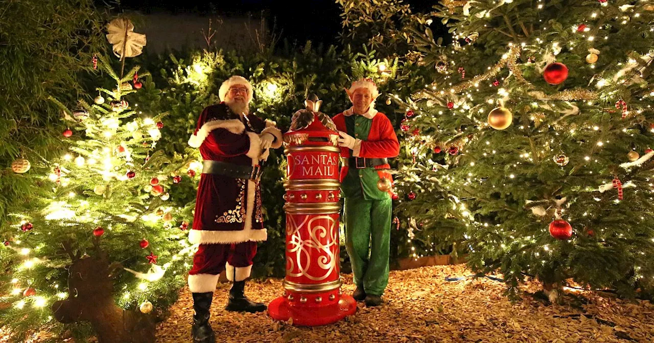 Zauberhaft: Grundstück in Lübbecke verwandelt sich in Weihnachtswelt