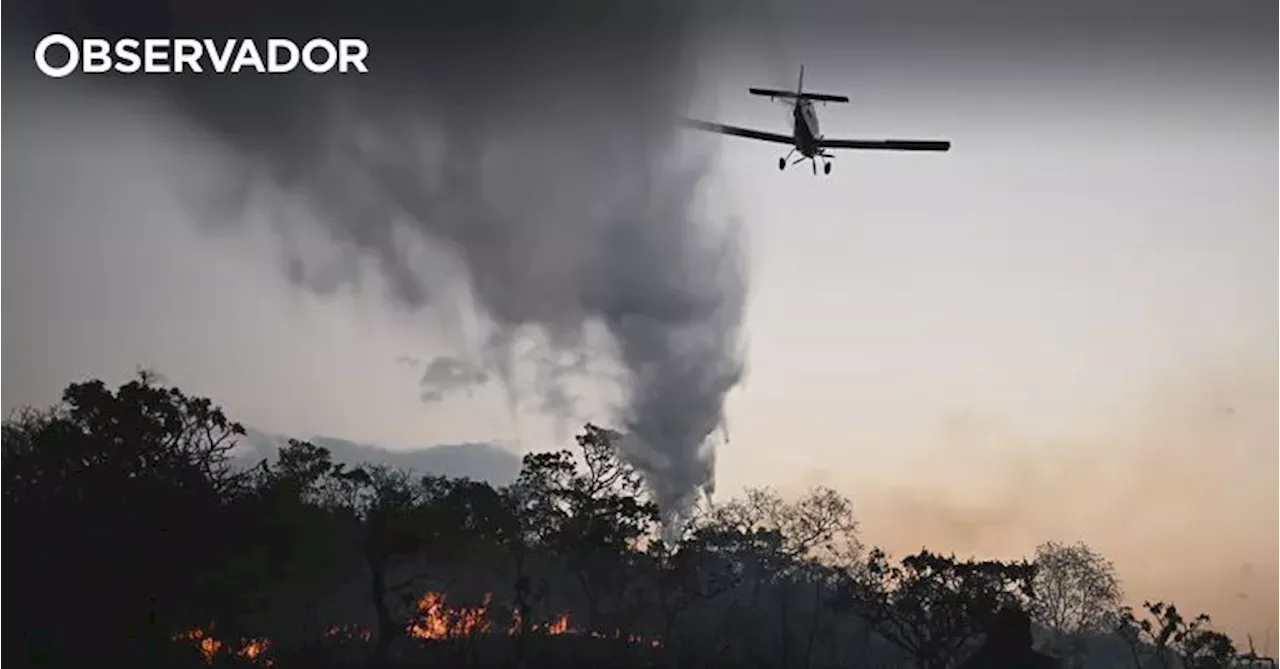 Incêndios no Brasil aumentam 90% em 2024, atingindo maior área em seis anos