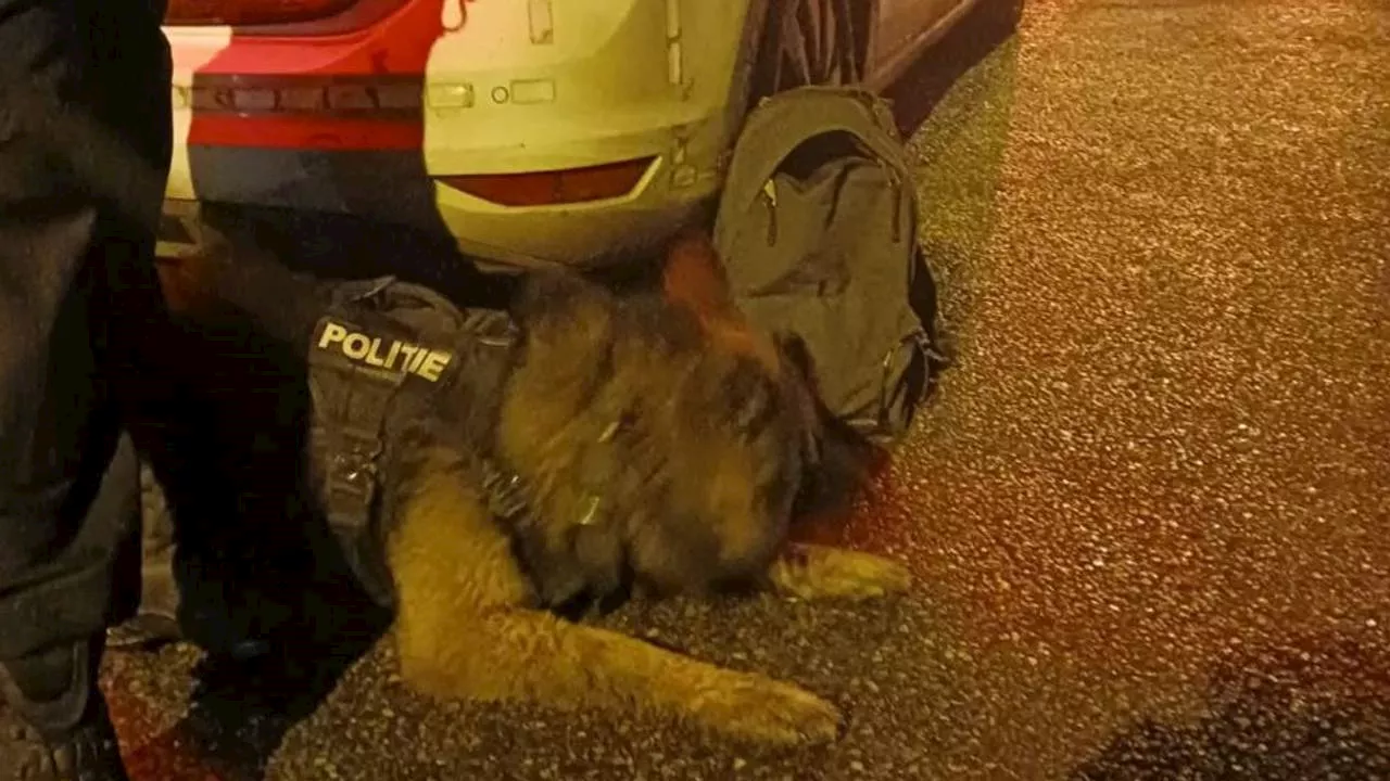 Politiehond Moos vindt inbreker en trapt feest in cel af