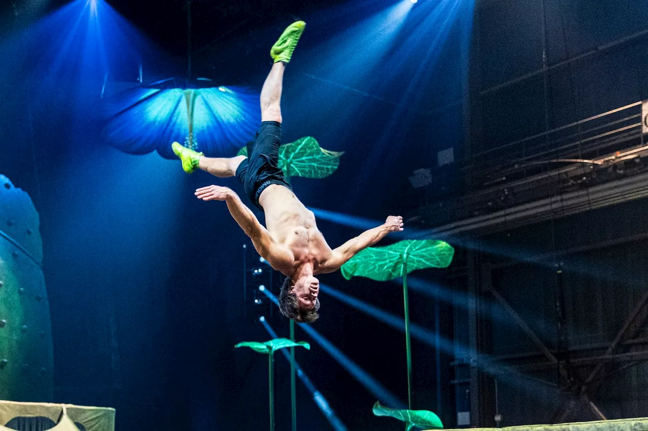 Cirque du Soleil ‘Ovo’ show in Hershey features new elements: Where to buy tickets