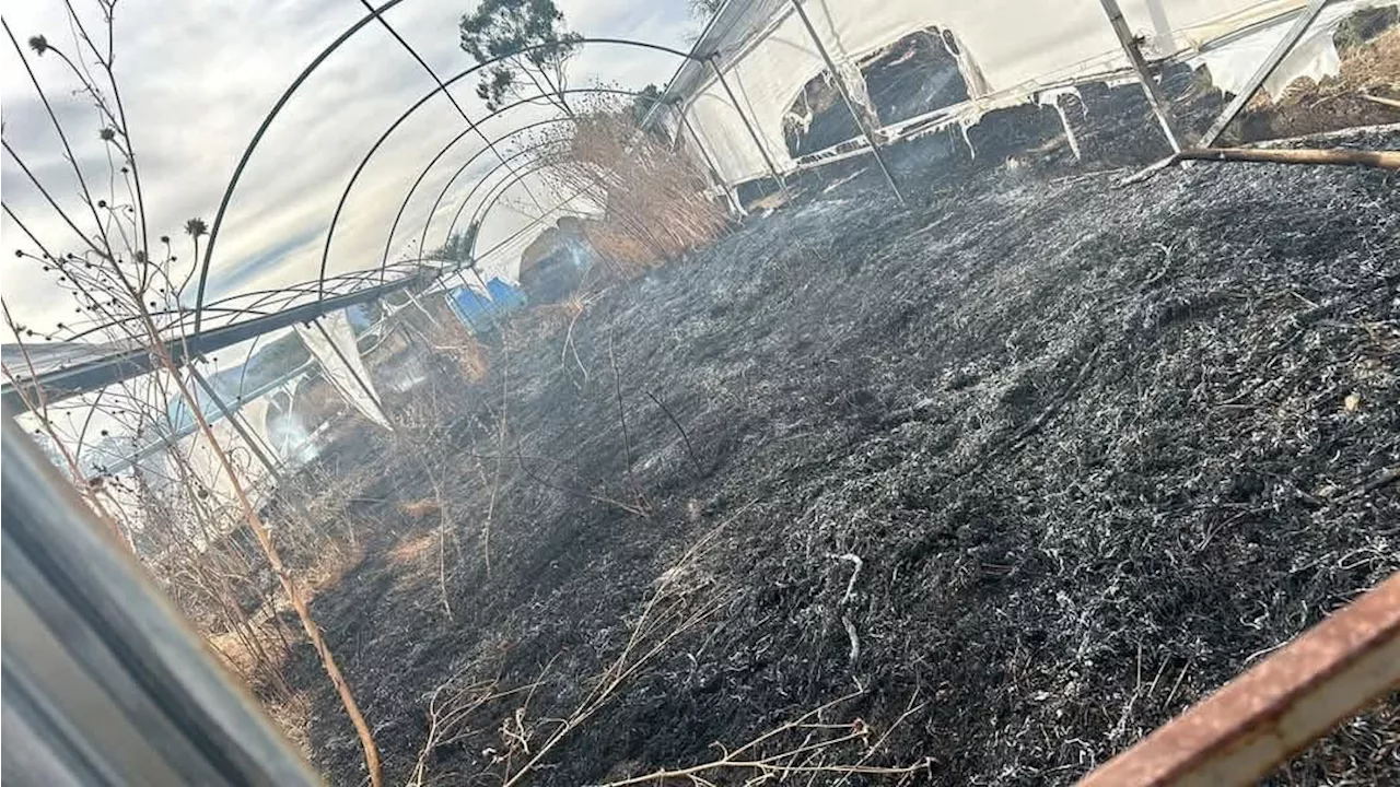 Incendios en San Miguel de Allende causan daños en plantel educativo y destruyen vehículos