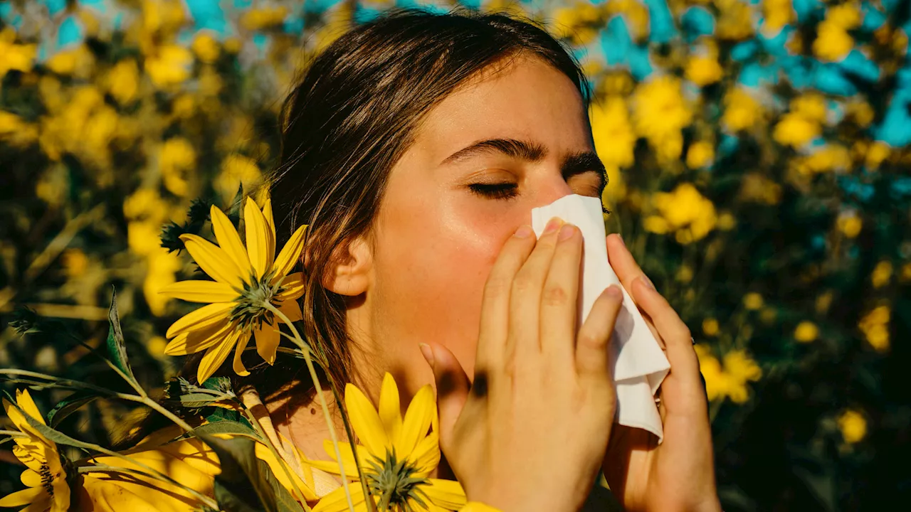 Fungal Lives in Noses May Impact Allergies and Asthma