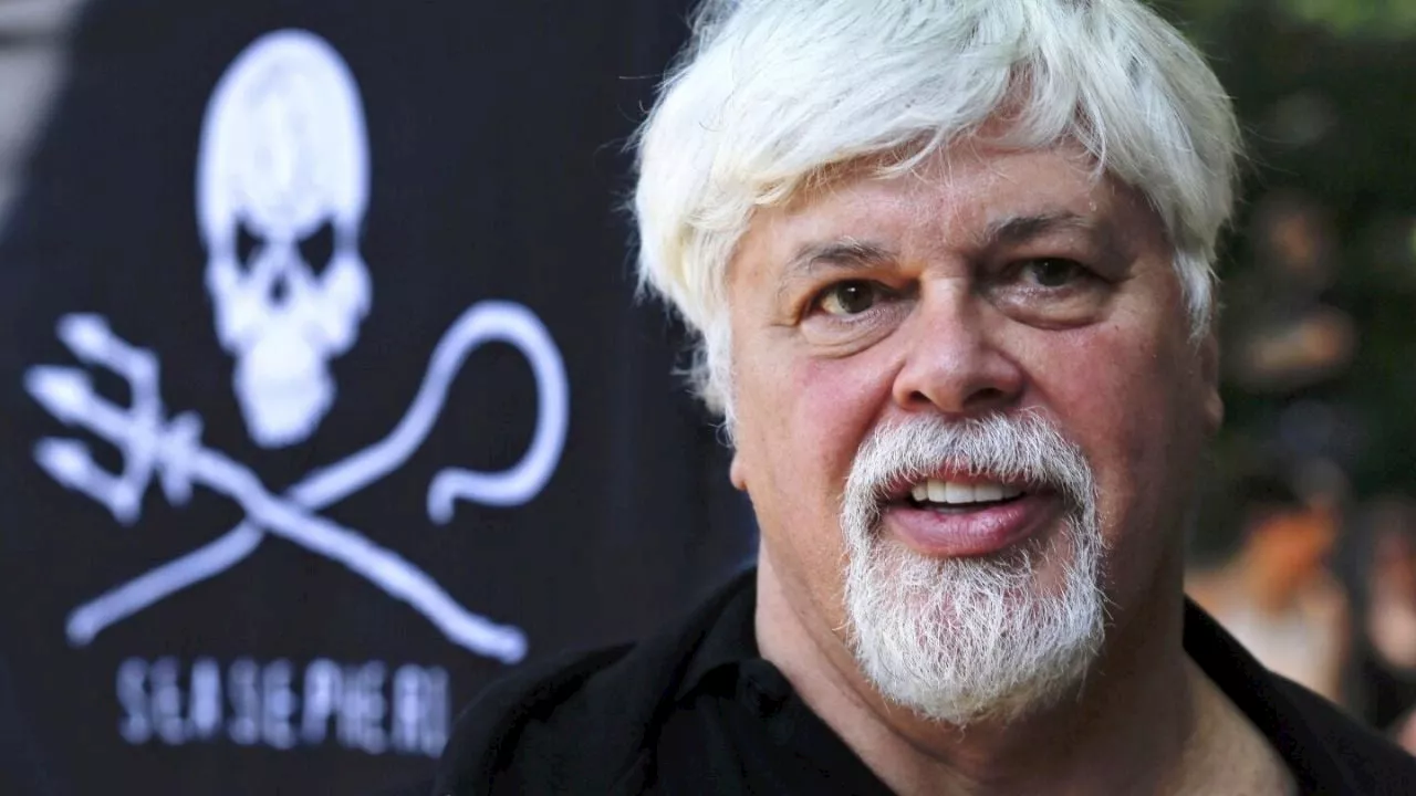 Paul Watson, activista contra la caza de ballenas, es liberado de prisión en Dinamarca