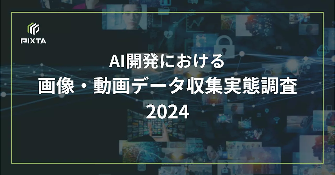 『AI開発における画像・動画データ収集実態調査2024』発表