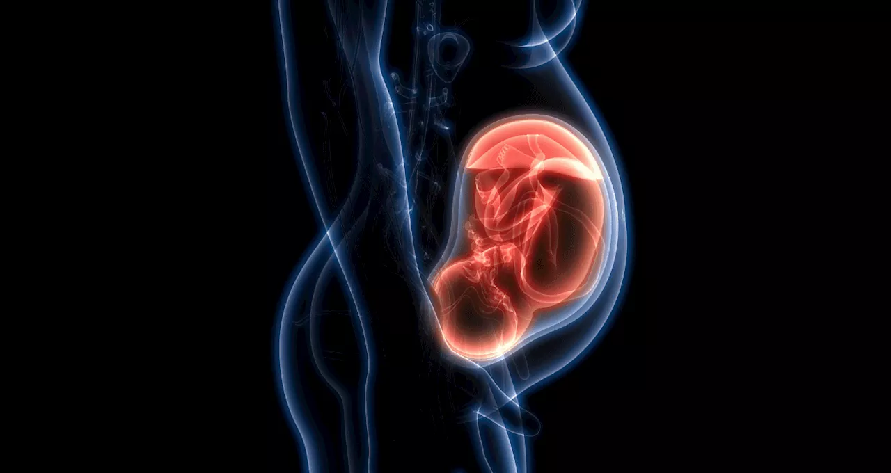 Enfermedad de Crohn y el embarazo: ¿Cómo se afectan entre sí?