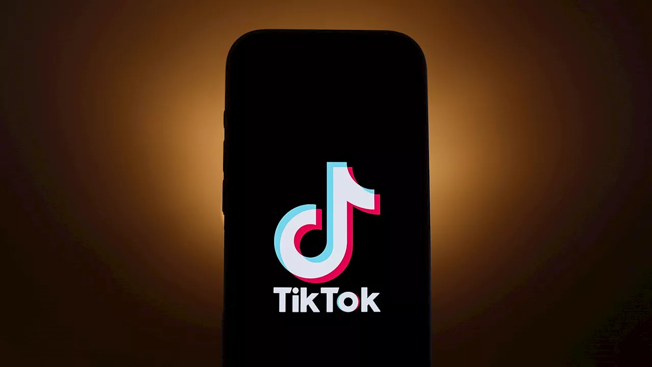 Trump May Review TikTok Ban as Supreme Court Appeal Looms