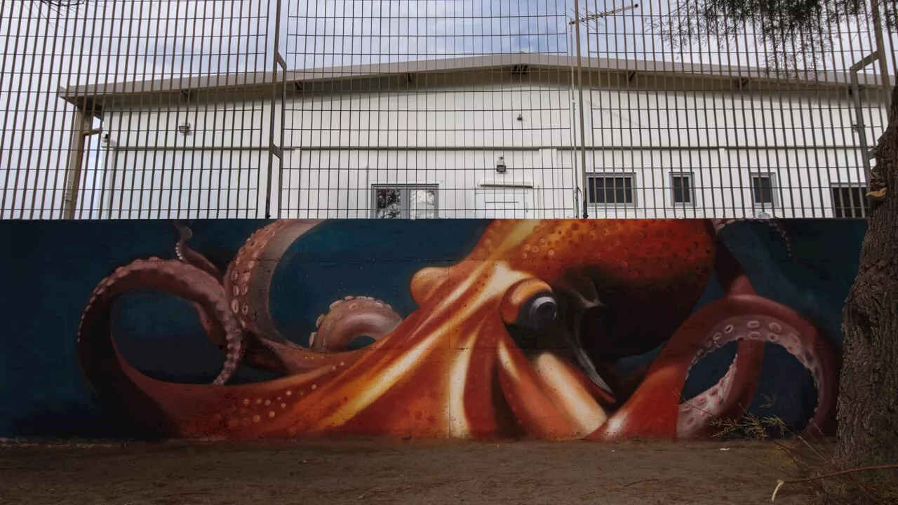 Nuovo murales a Ostia celebra biodiversità e inclusione