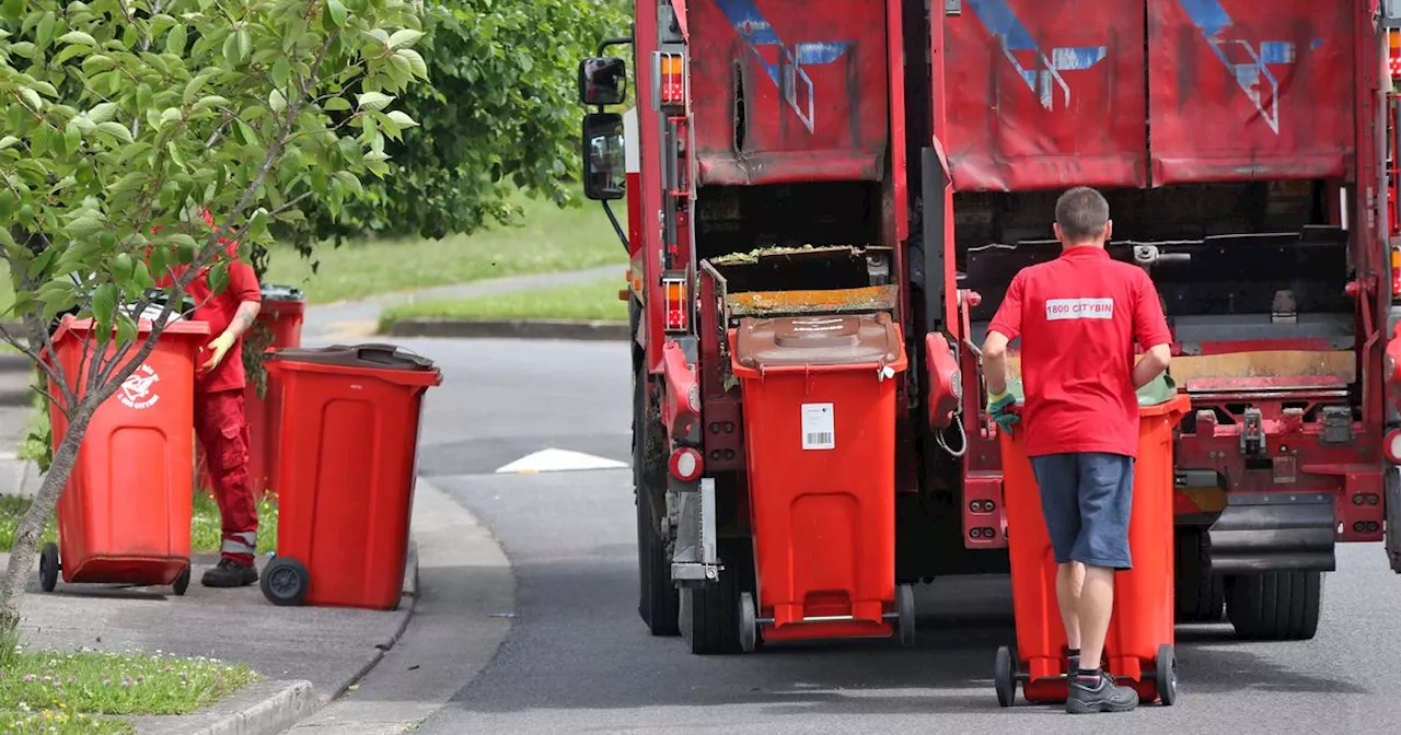 Christmas Bin Collections: What You Need to Know