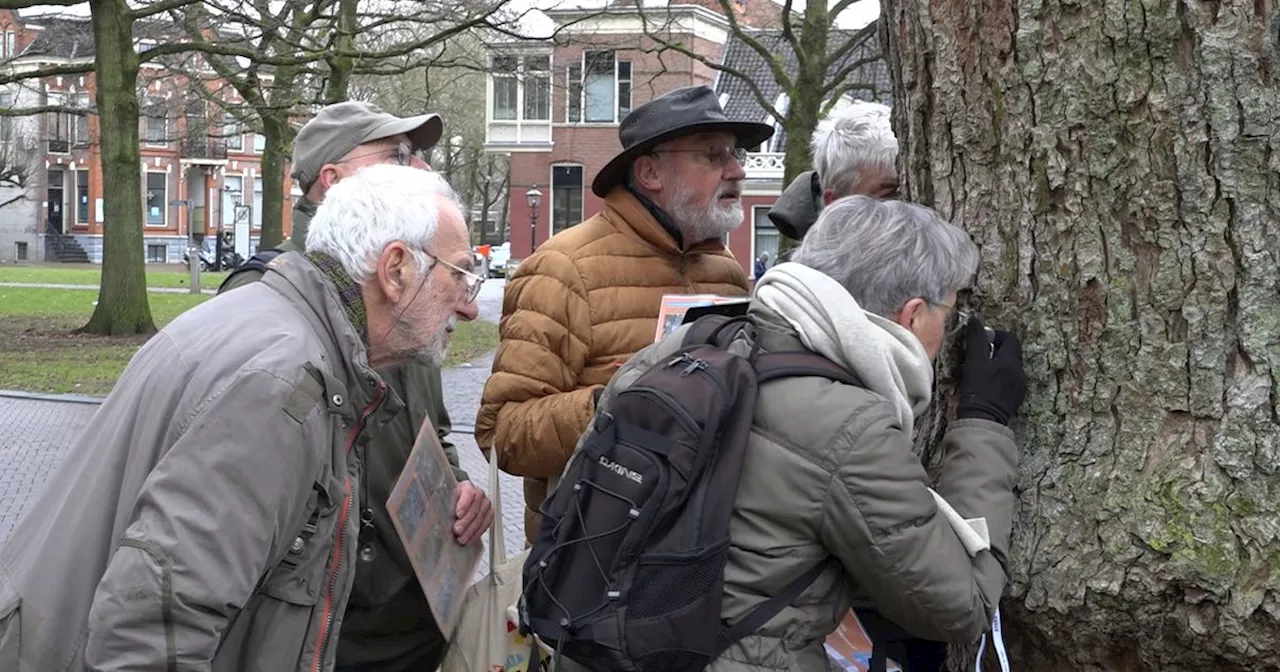 Korstmossen onder de loep: 'Het zijn hele interessante organismen'