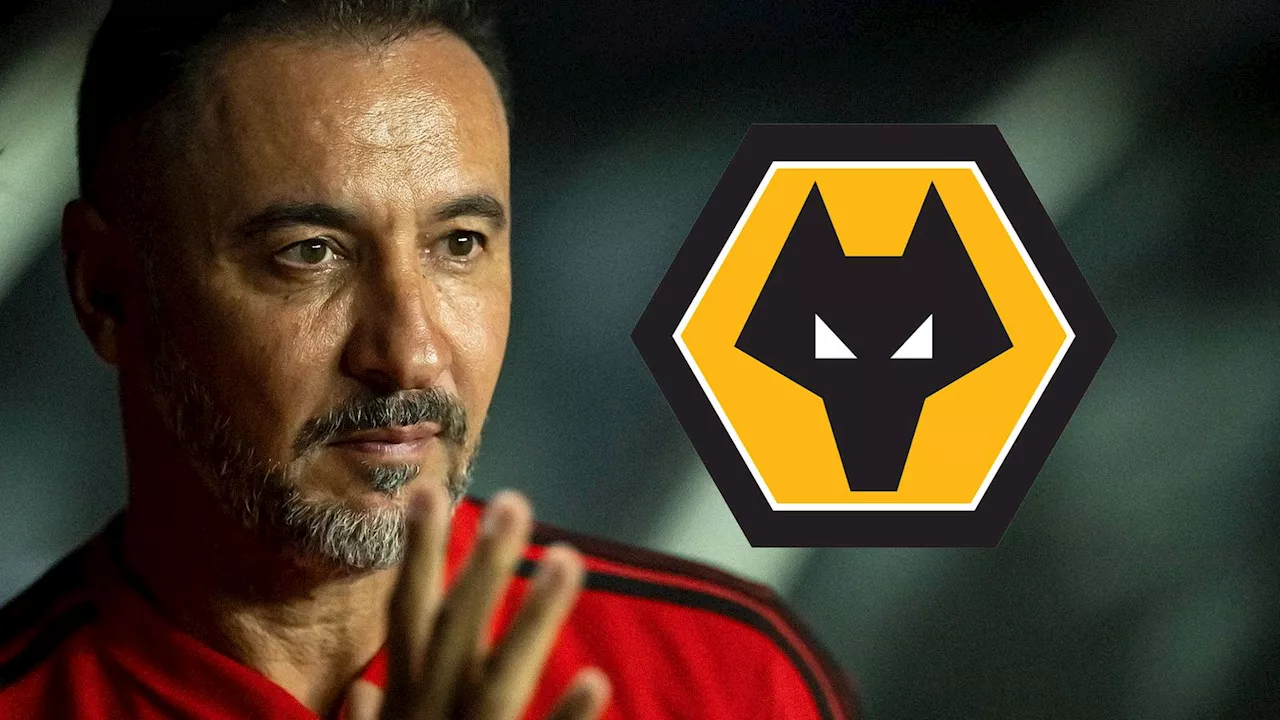 Wolves Appoint Vitor Pereira as New Head Coach