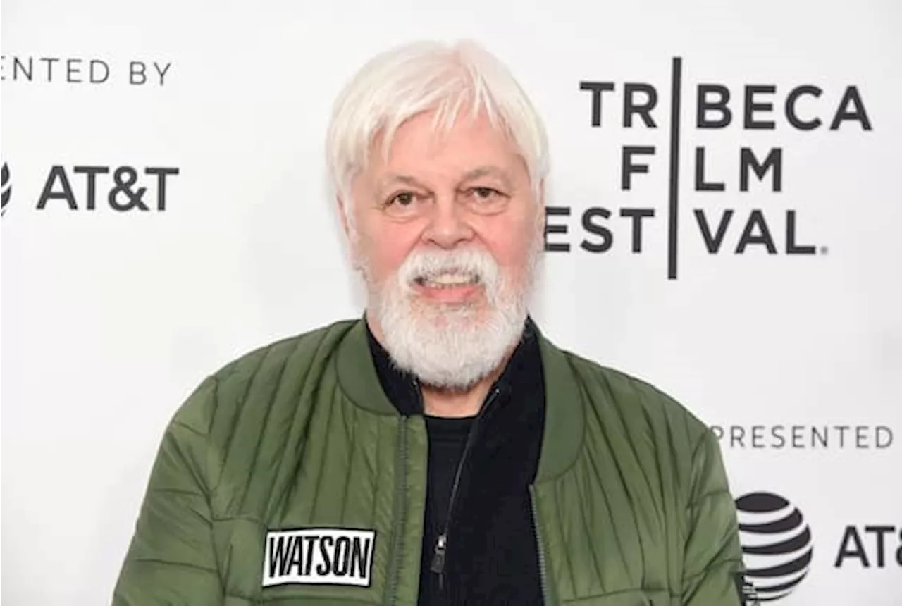 Paul Watson rilasciato: 'La mia detenzione ha attirato l'attenzione sulla caccia alle balene giapponese'