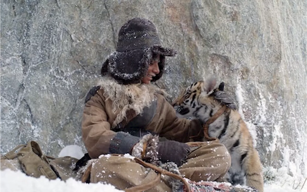 Un bambino, una tigre e un viaggio verso casa