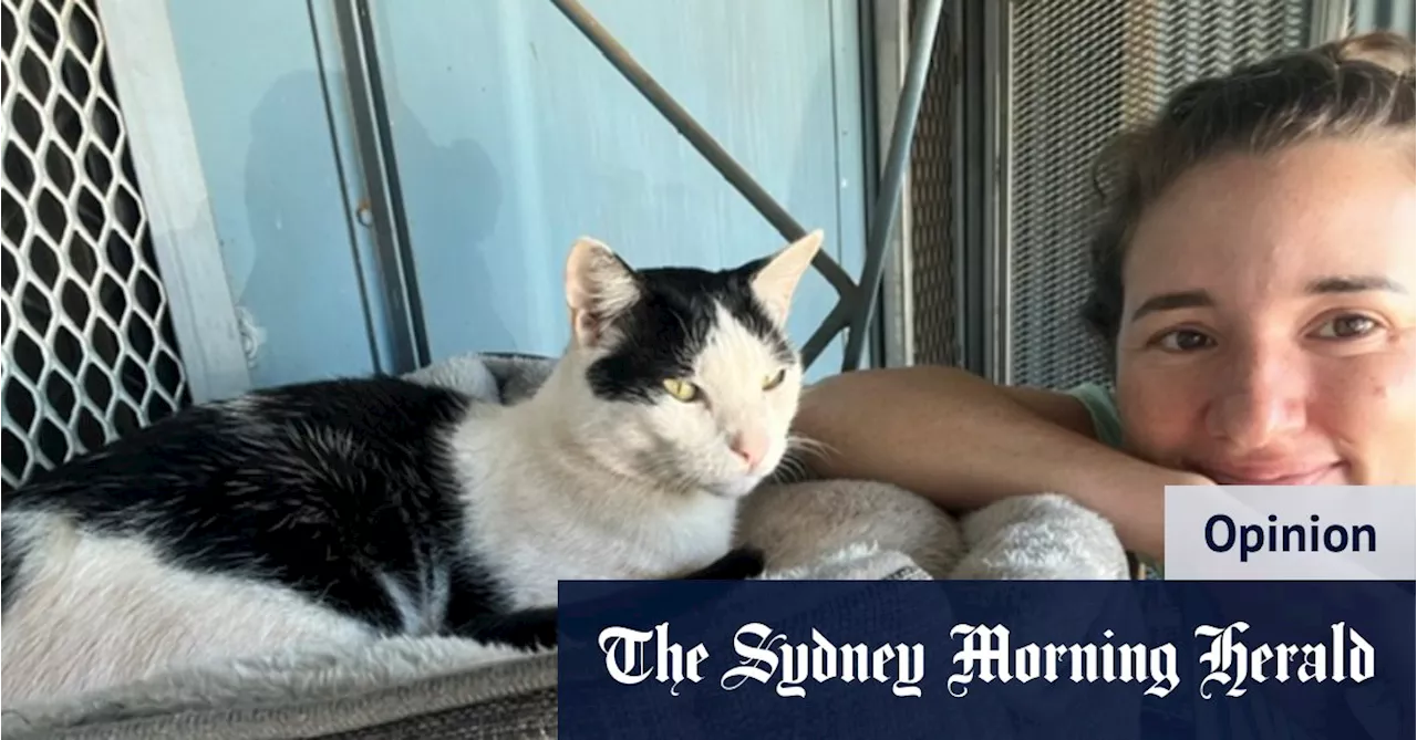 Unexpected Cat Adoption in the Remote Northern Territory