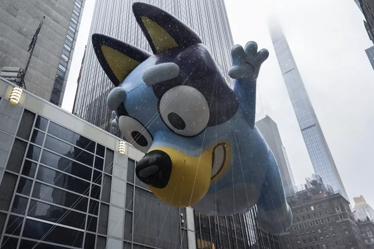 Bluey Movie Coming to Theaters in 2027