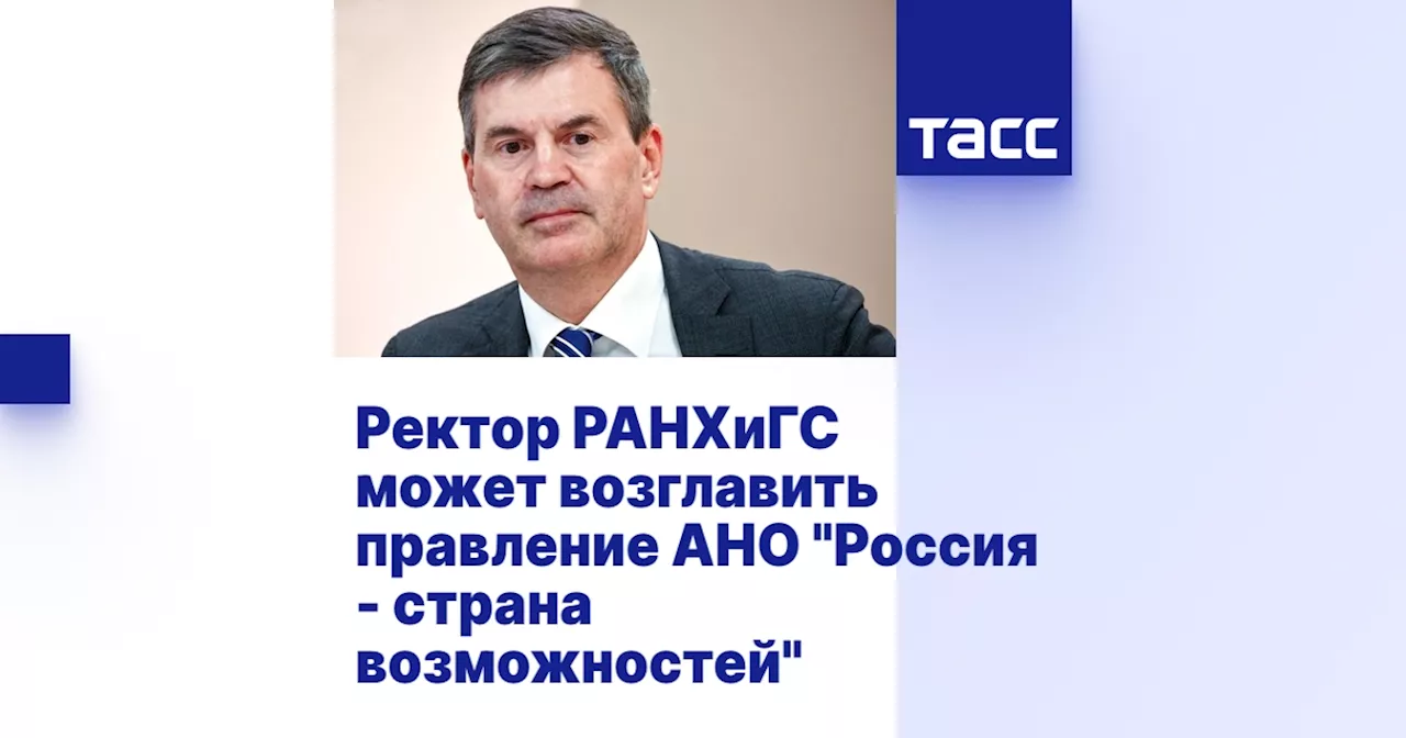 Алексей Комиссаров может возглавить правление президентской платформы 'Россия - страна возможностей'