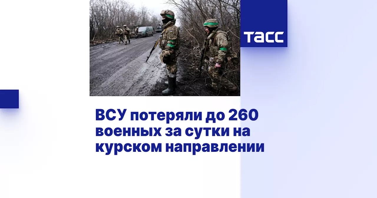 Минобороны РФ: Потери ВСУ на Курском направлении составили до 260 военных за сутки