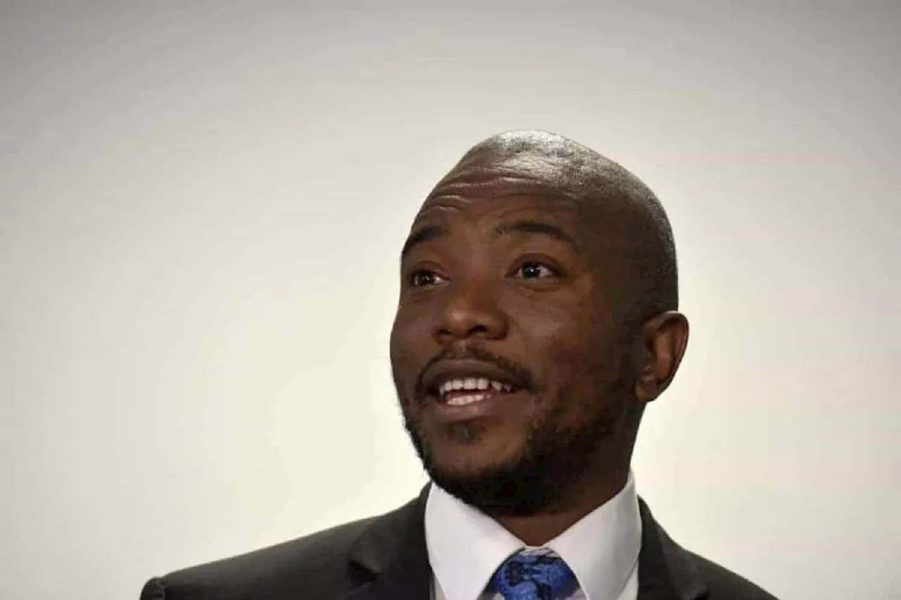 Maimane Addresses EFF Conference, Disagrees With Malema on Economic Freedom