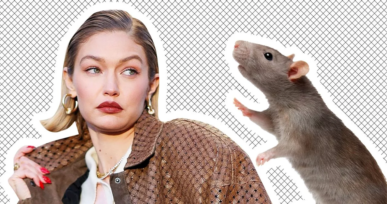 Gigi Hadid Battles a Rat Infestation in Her Noho Townhouse