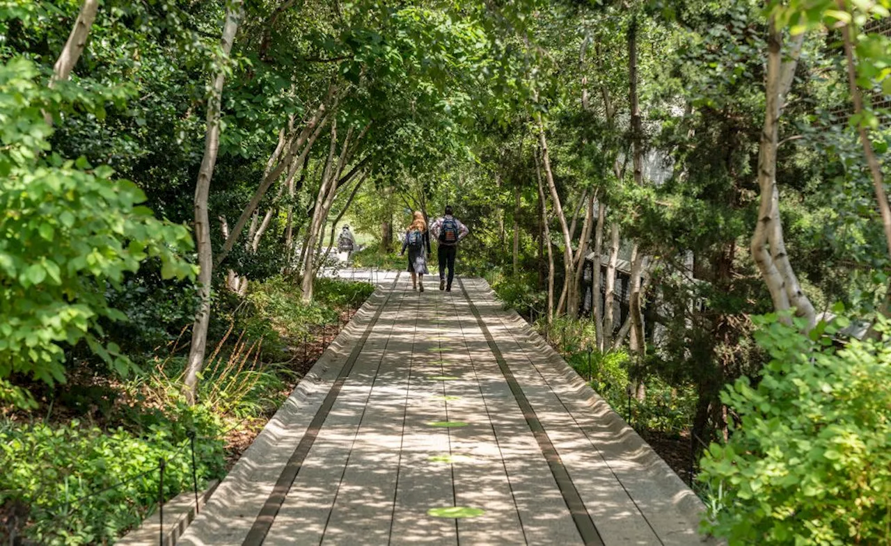 Detroit Embraces Urban Renewal with Joe Louis Greenway