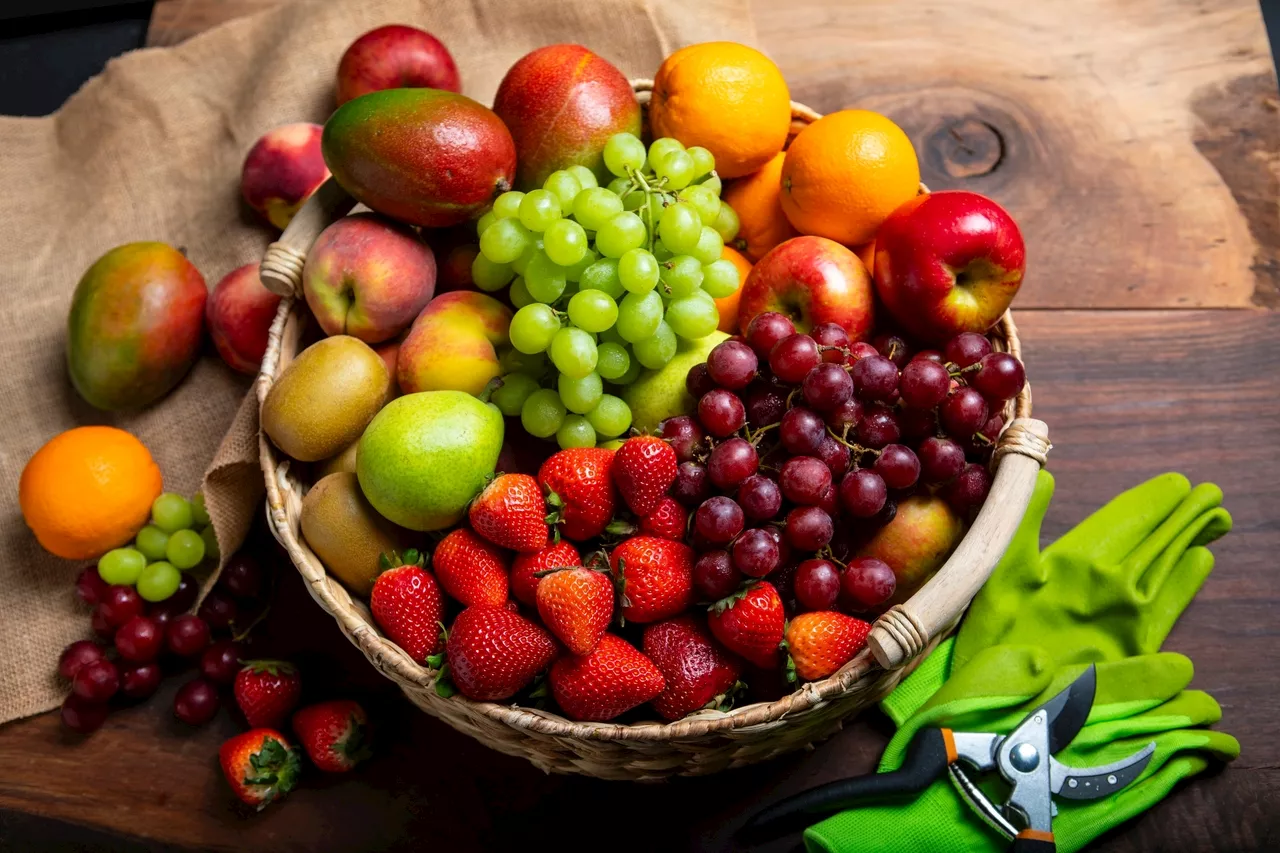 Découvrez le fruit le plus contaminé par les perturbateurs endocriniens, selon une nouvelle enquête