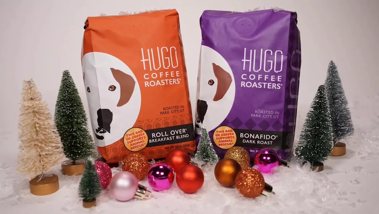 Treat Yourself to Hotel-Quality Coffee with 20% Off