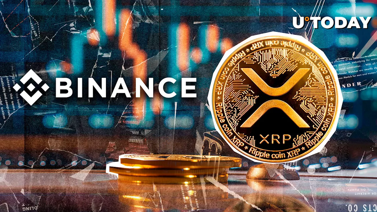 Whale Alert Spot Large XRP Transfer to Binance Amid Price Surge