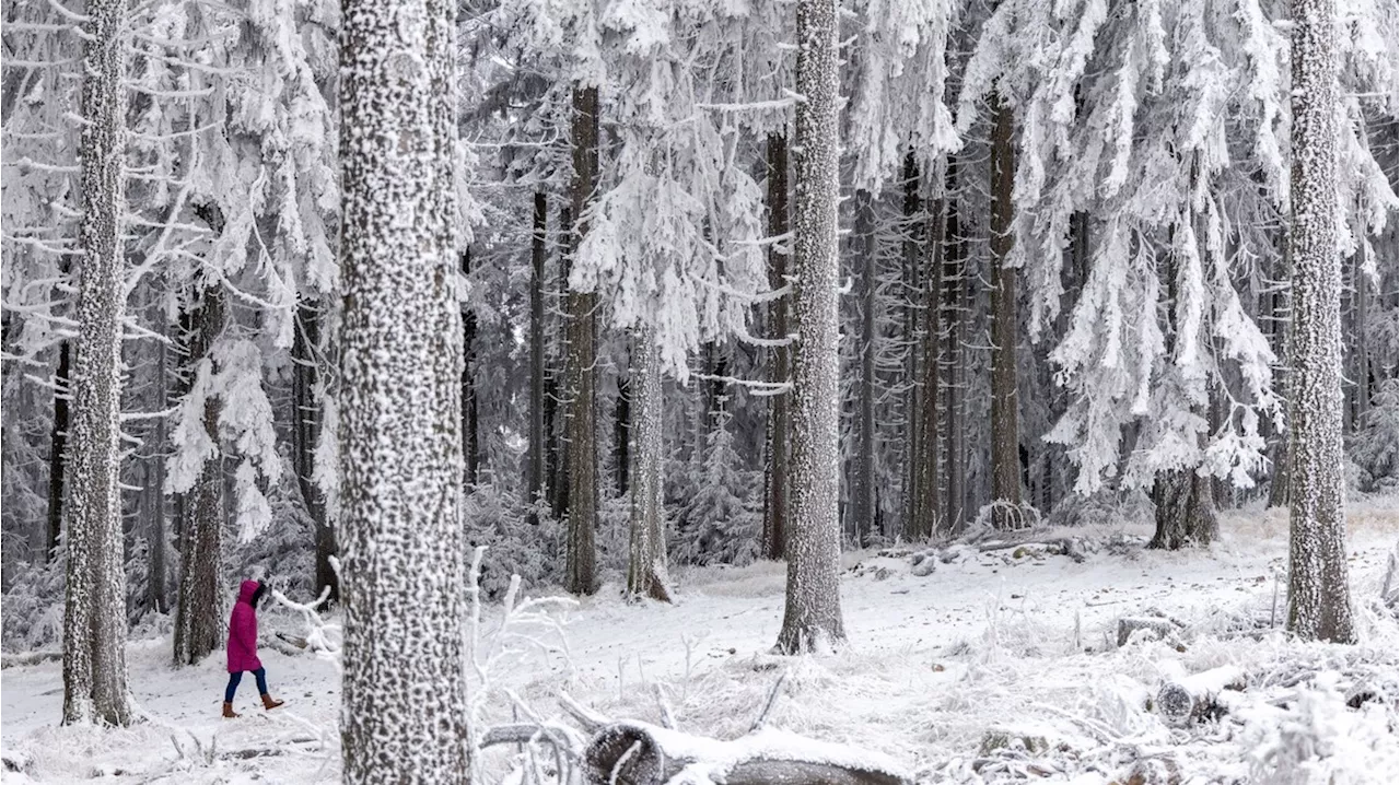 Schnee in Deutschland: Frosttage und Schnee laut Analyse immer seltener