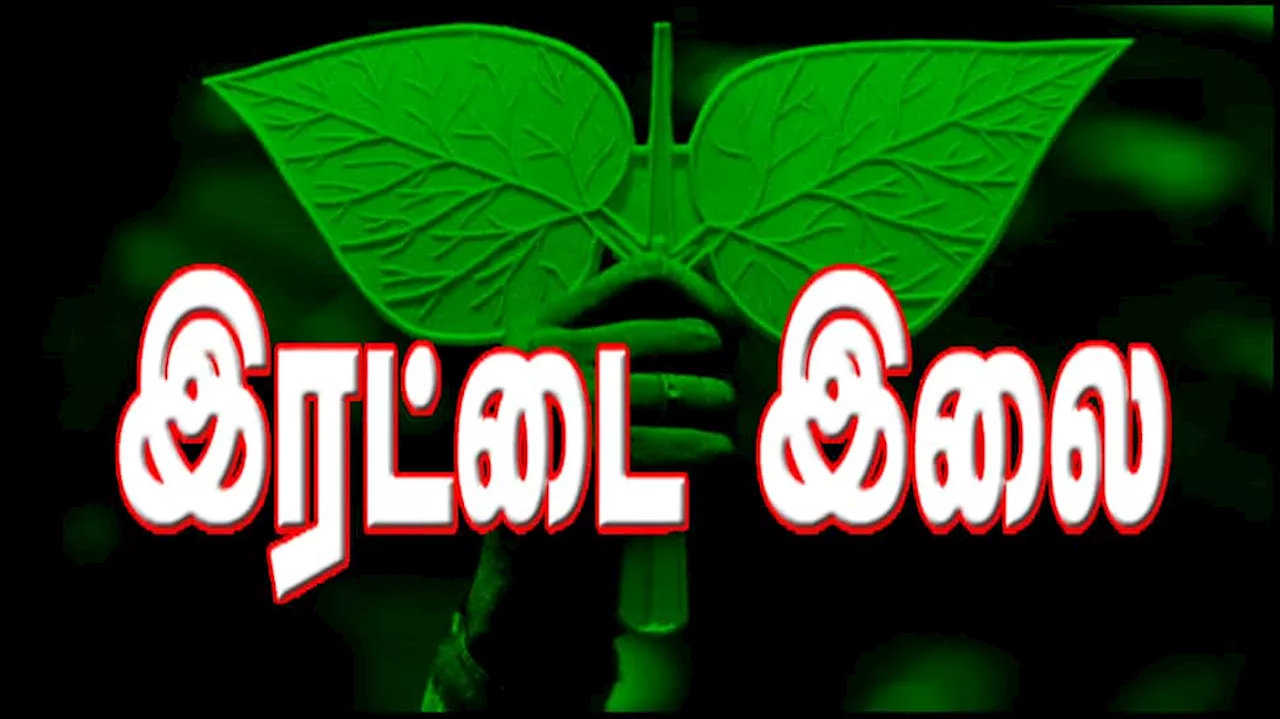 இரட்டை இலை சின்னம் விவகாரத்தில் தேர்தல் ஆணையத்திற்கு உயர் நீதிமன்றம் உத்தரவு