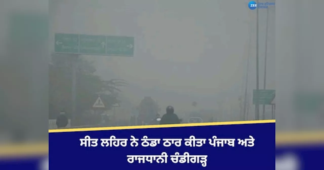 Punjab Weather Update: ਸੀਤ ਲਹਿਰ ਨੇ ਠੰਡਾ ਠਾਰ ਕੀਤਾ ਪੰਜਾਬ ਅਤੇ ਰਾਜਧਾਨੀ ਚੰਡੀਗੜ੍ਹ, ਲੋਕਾਂ ਚ ਹੋਈ ਠੂਰ- ਠੂਰ