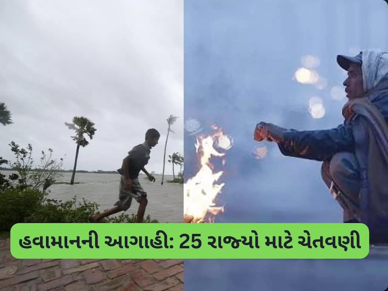 Weather Forecast: 55KMની ઝડપે ફૂંકાશે પવન, ભર શિયાળે ભારે વરસાદ, ગાઢ ધુમ્મસનું એલર્ટ! 25 રાજ્યો માટે IMD ની ચેતવણી