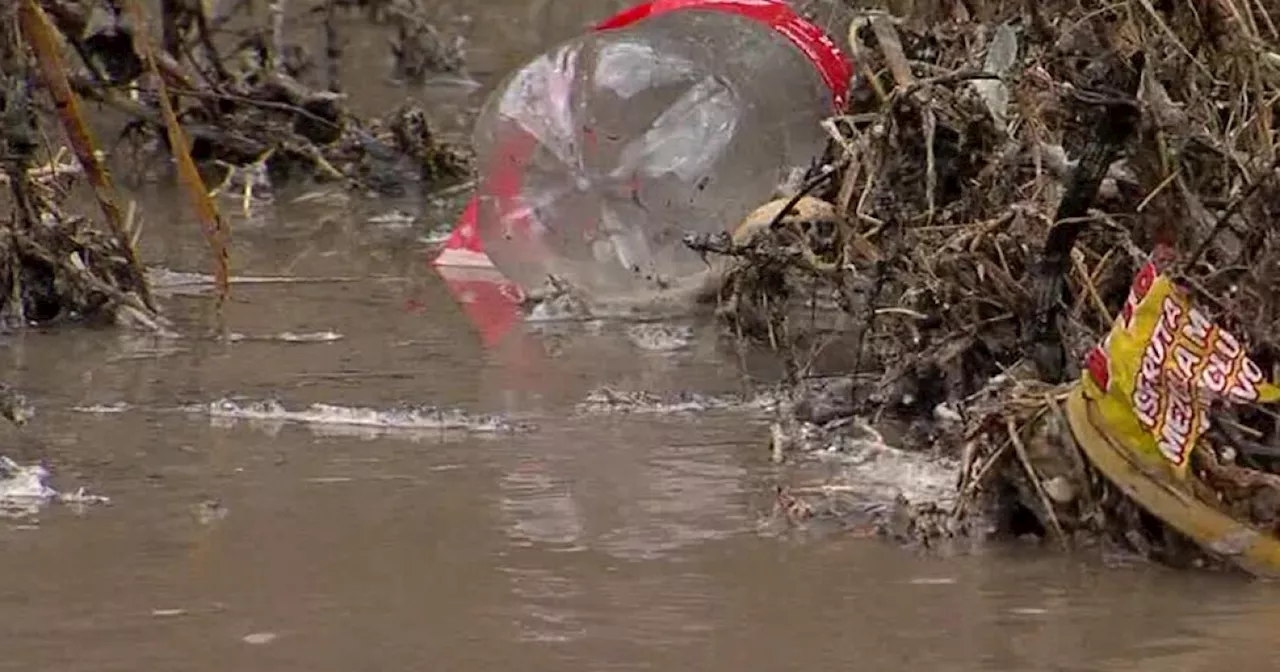 Twin Announcements Aim to Curb Pollution in Tijuana River Valley