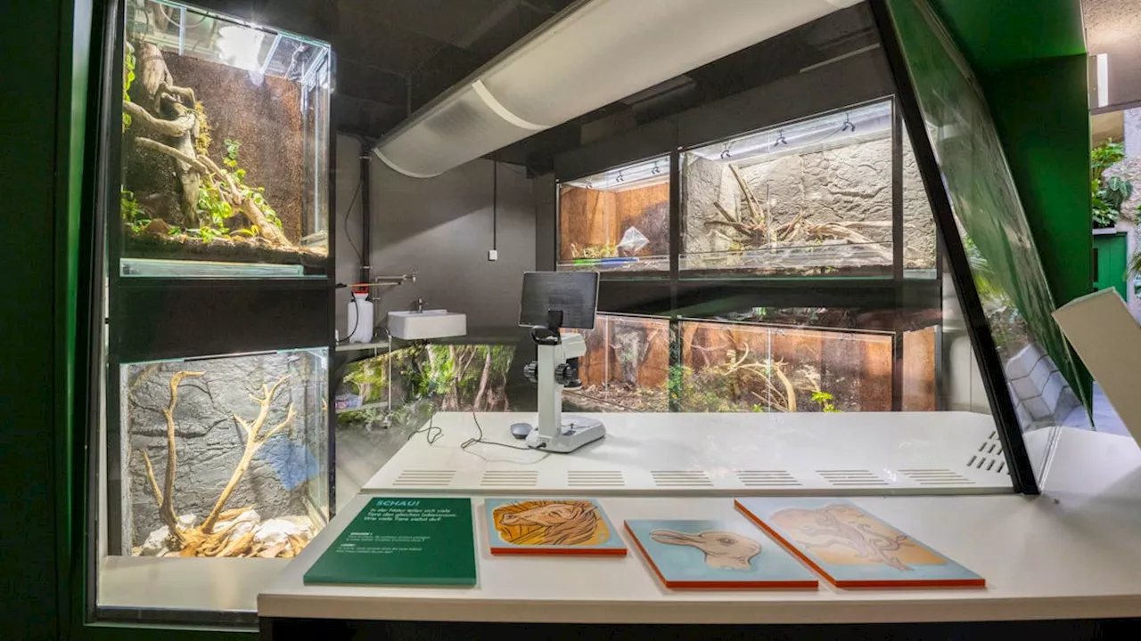 Zoo Zürich eröffnet neue Forschungsstation