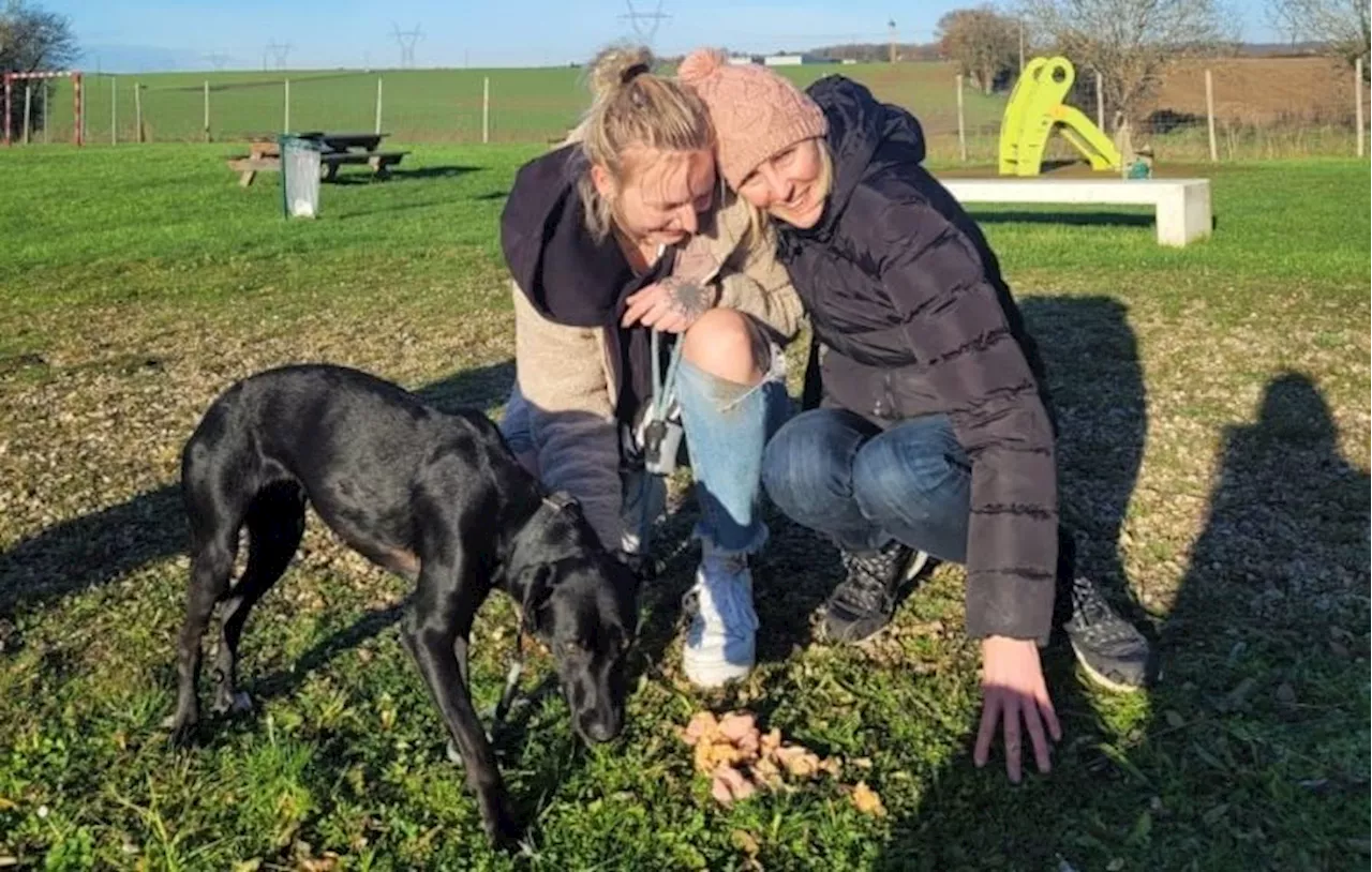 Amalka, la Chienne d'Aéroport, Profite de son Séjour aux États-Unis